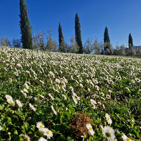 Agriturismo Val Della Pieve Anghiari Εξωτερικό φωτογραφία