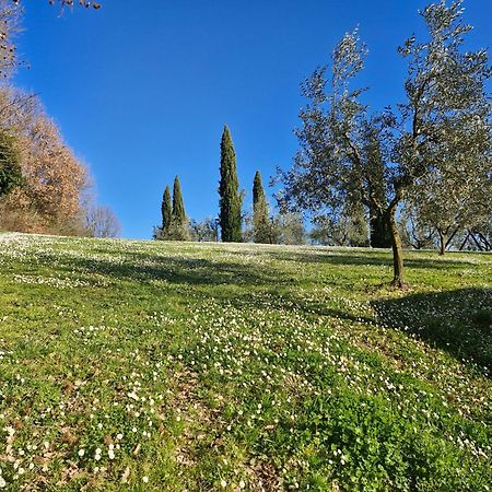 Agriturismo Val Della Pieve Anghiari Εξωτερικό φωτογραφία