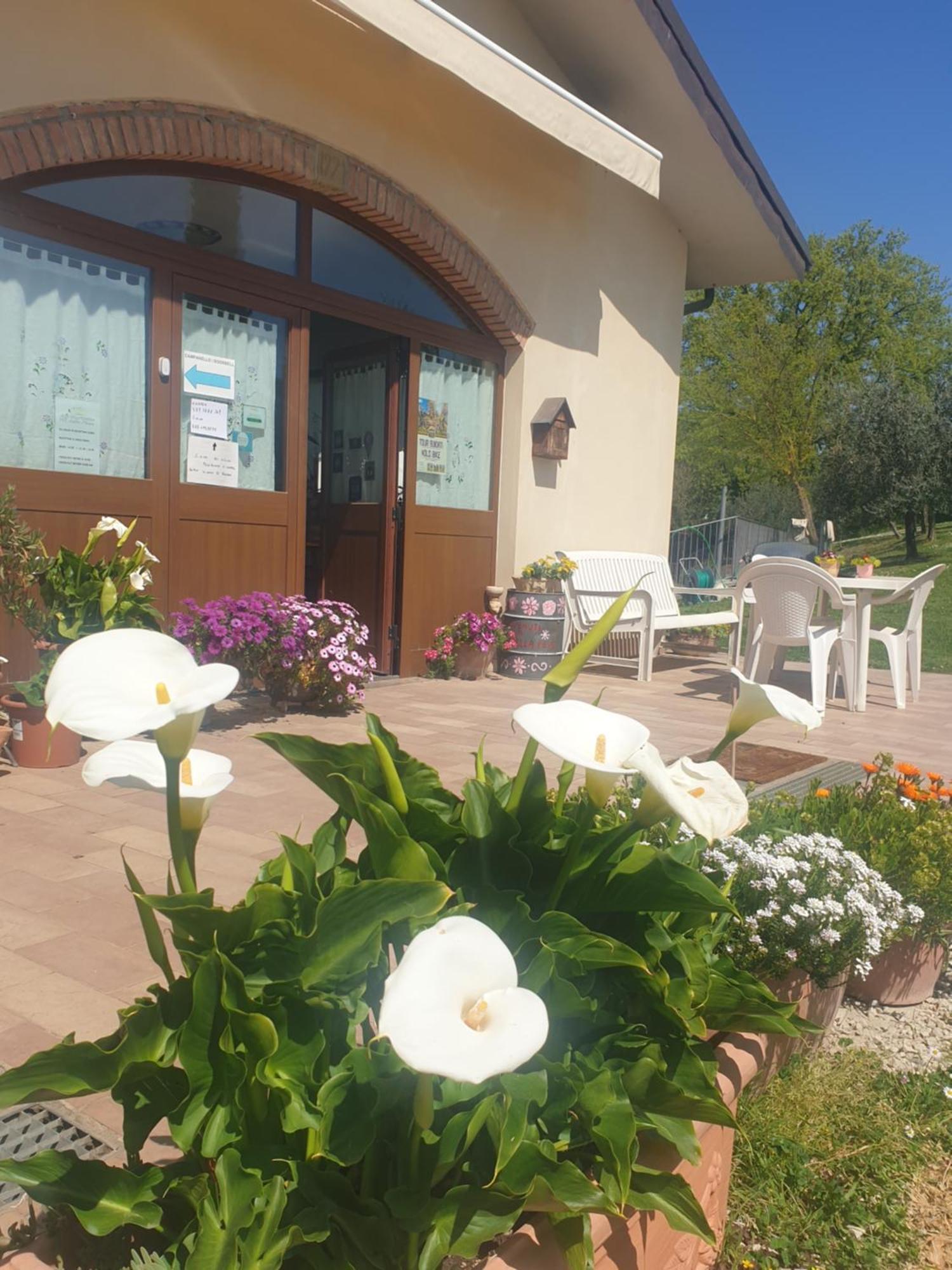 Agriturismo Val Della Pieve Anghiari Εξωτερικό φωτογραφία