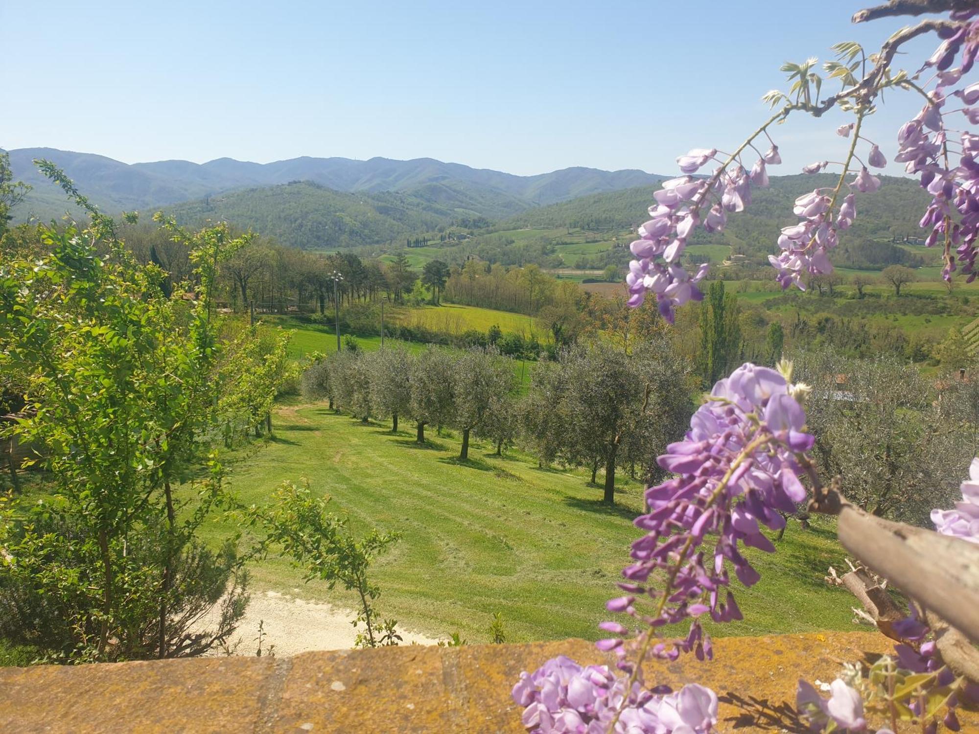 Agriturismo Val Della Pieve Anghiari Εξωτερικό φωτογραφία