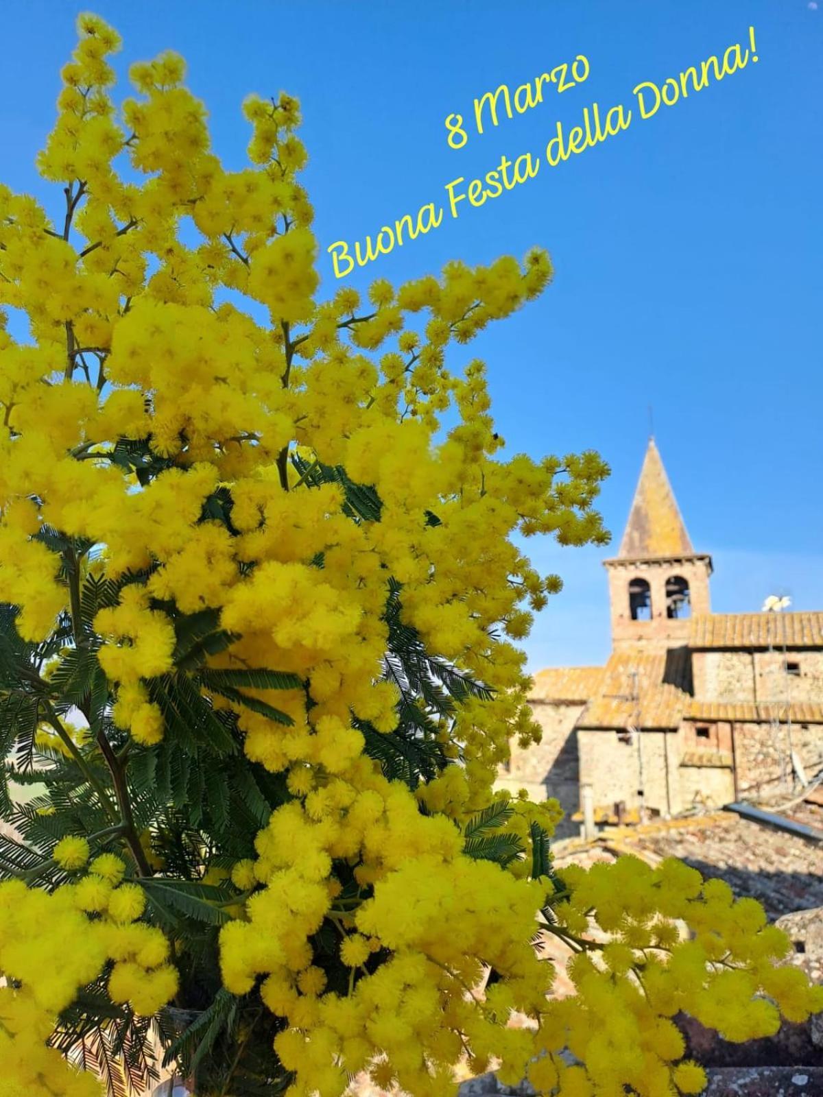 Agriturismo Val Della Pieve Anghiari Εξωτερικό φωτογραφία